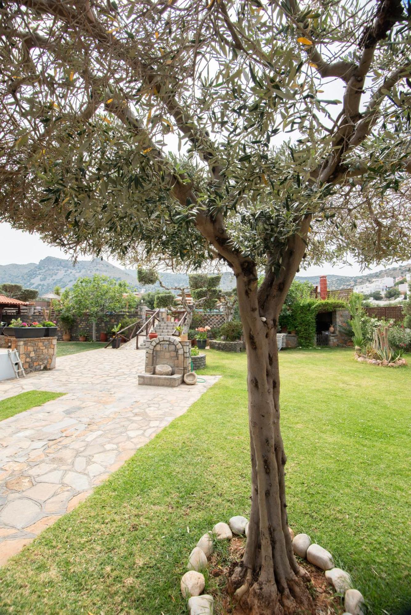 Corali Studios & Portobello Apartments Ελούντα Εξωτερικό φωτογραφία